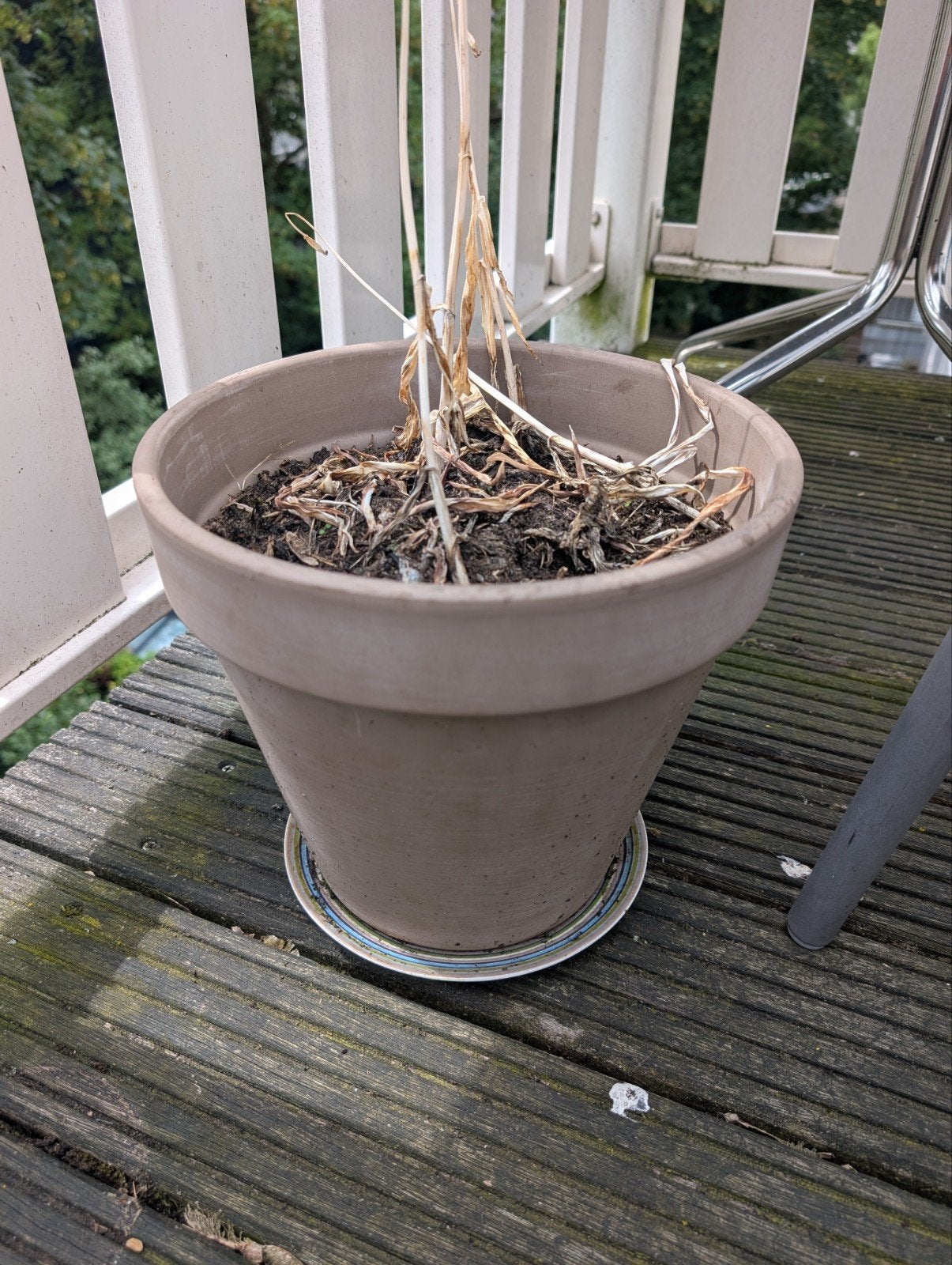 Used earthenware flower pot, 25 tot 40 cm, Gebruikt, Rond, Ophalen of Verzenden