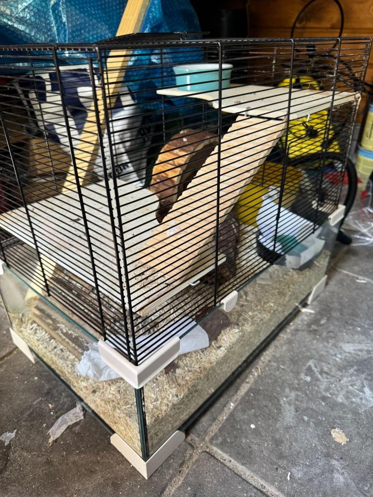 hamster kooi, Kooi, Gebruikt, Minder dan 75 cm, Cavia