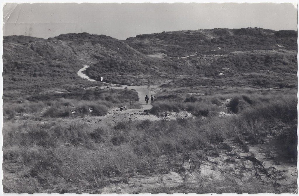 Haamstede Duinovergang Gelopen Oude Ansichtkaart (B28 ), Ophalen of Verzenden, 1940 tot 1960, Gelopen