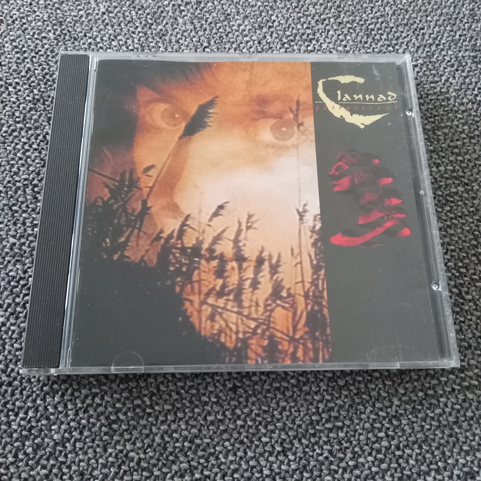 Clannad - Pastpresent, Ophalen of Verzenden, Zo goed als nieuw