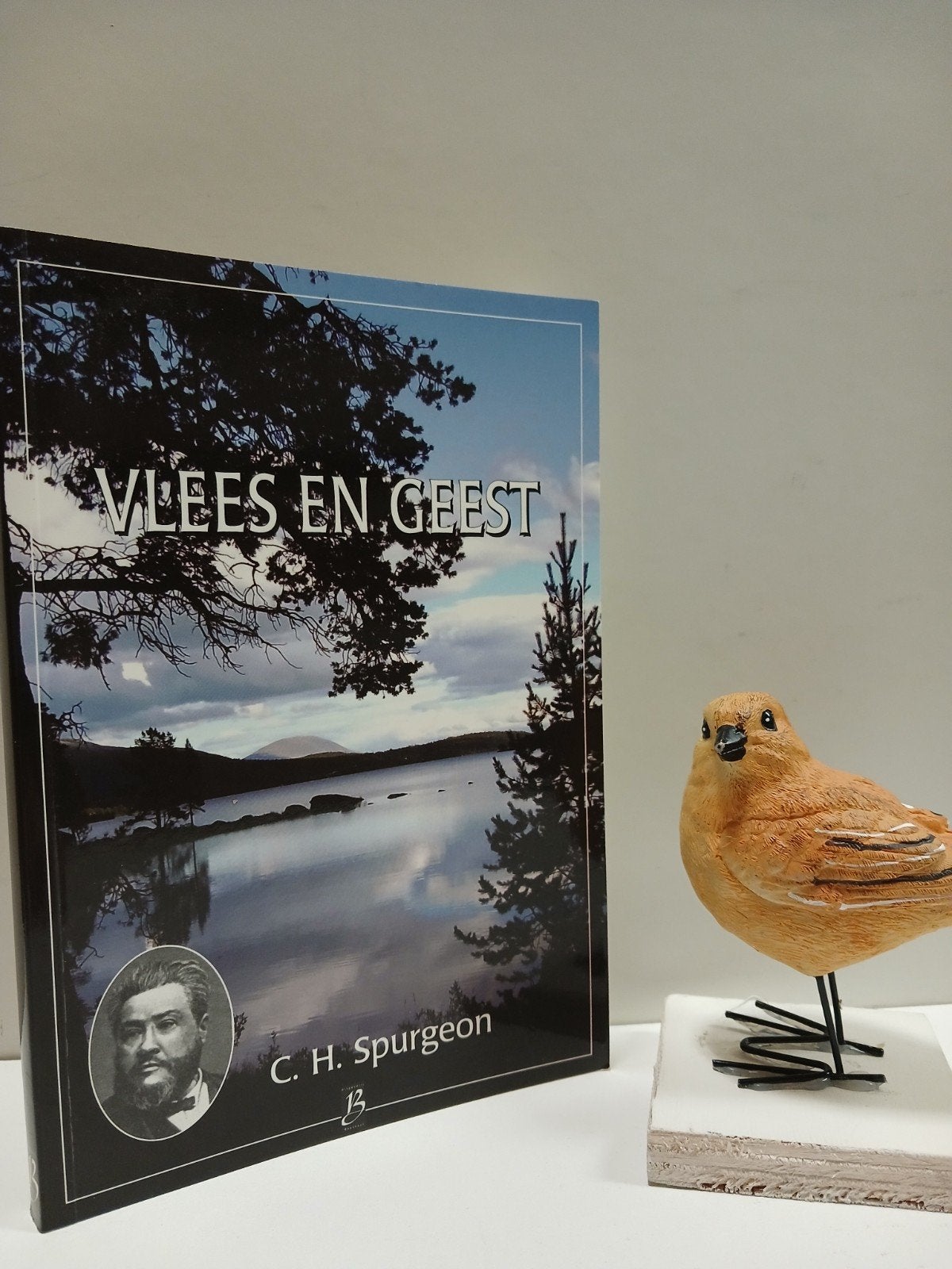 Spurgeon, C.H.;  Vlees en Geest  : Boekhout nr 33, Ophalen of Verzenden, Gelezen, Christendom | Protestants