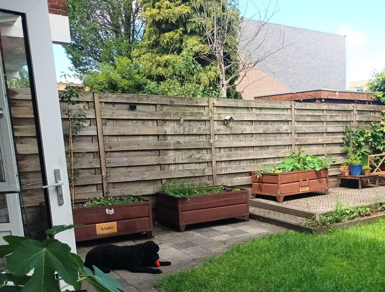Metalen moestuinbak (zonder grond/planten), Ophalen, Gebruikt, 100 cm of meer, Metaal