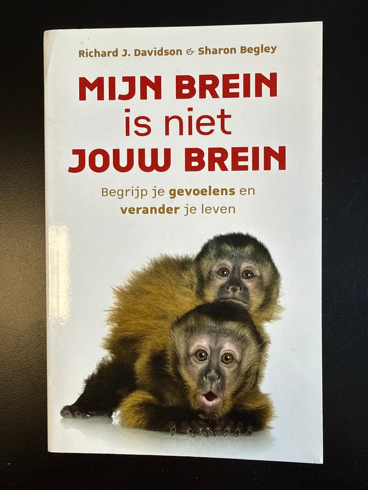 Mijn Brein is Niet Jouw Brein - Richard J. Davidson, Boeken, Ophalen of Verzenden, Nieuw, Cognitieve psychologie