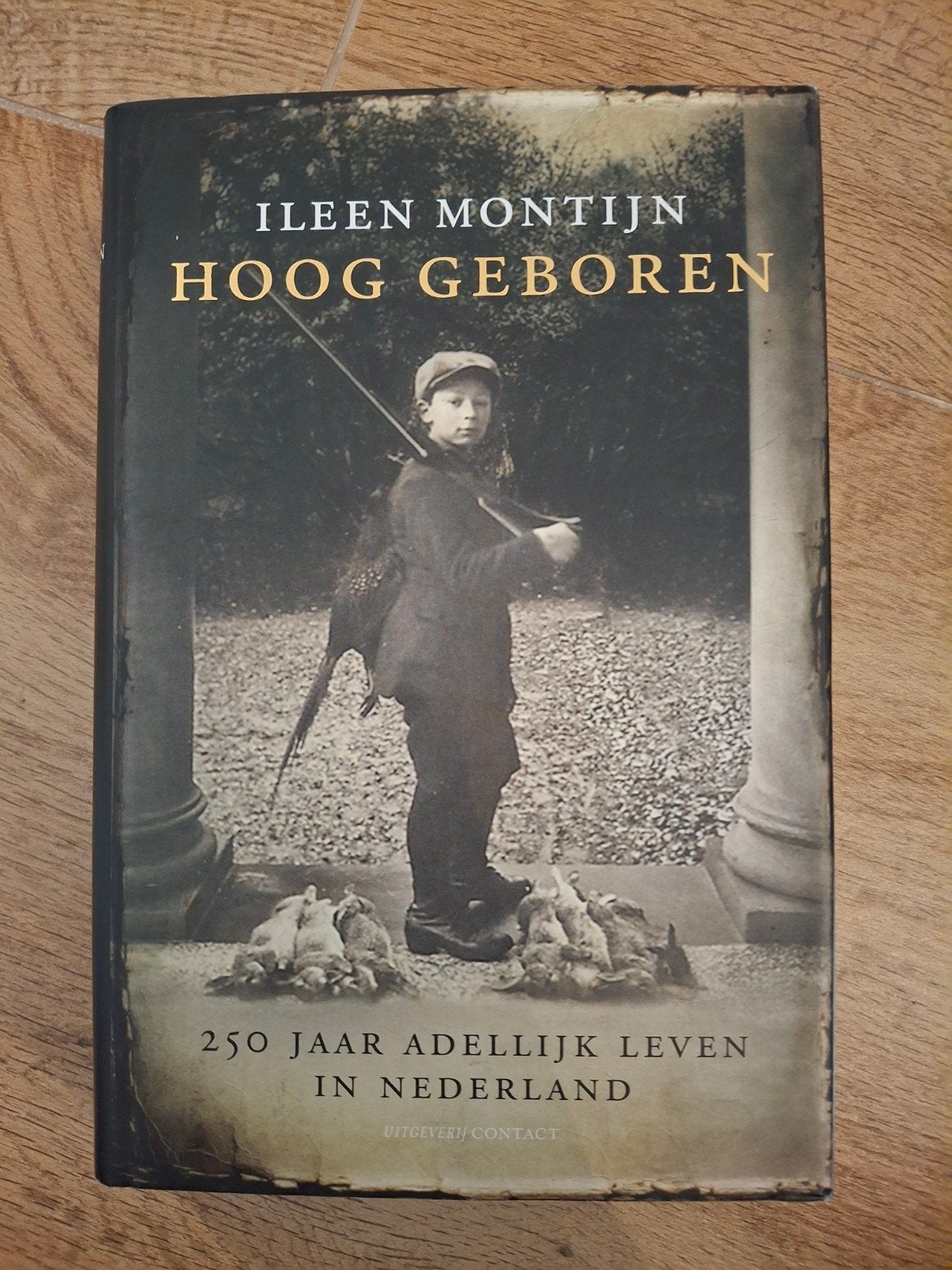 Ileen Montijn - Hoog geboren, Boeken, Ophalen of Verzenden, Zo goed als nieuw, Ileen Montijn