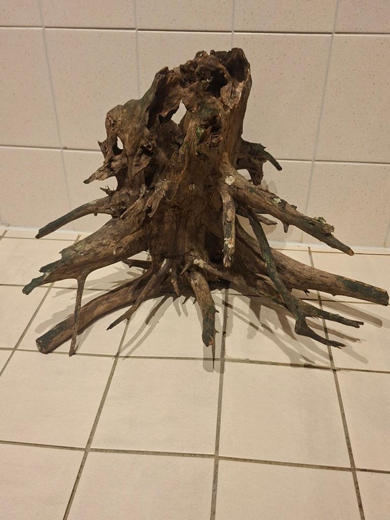 Aquarium hout, Dieren en Toebehoren, Ophalen, Zo goed als nieuw, Plant(en), Steen of Hout
