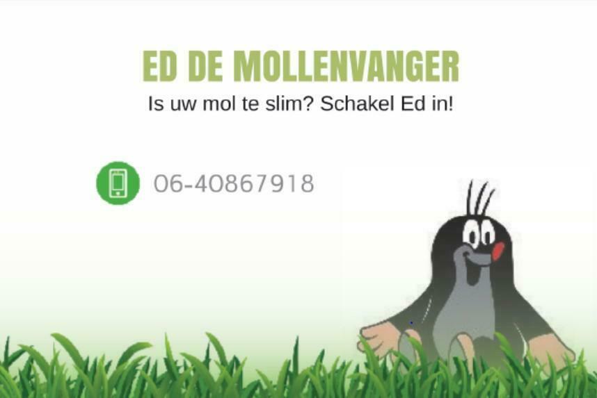 Mollenvanger, Diensten en Vakmensen