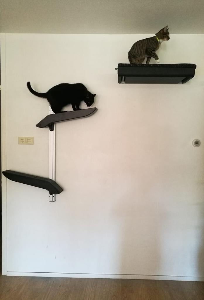 Katten klim op hoogte tot plafon, Ophalen of Verzenden