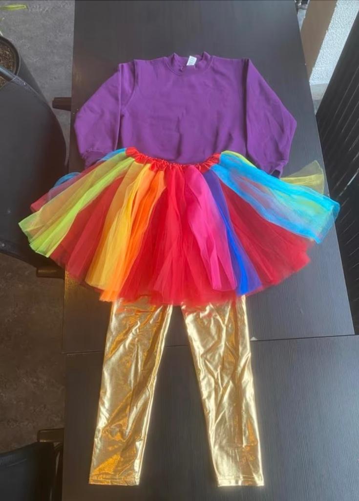 Loopgroep carnaval, Ophalen, Carnaval, Maat 46/48 (XL) of groter, Zo goed als nieuw