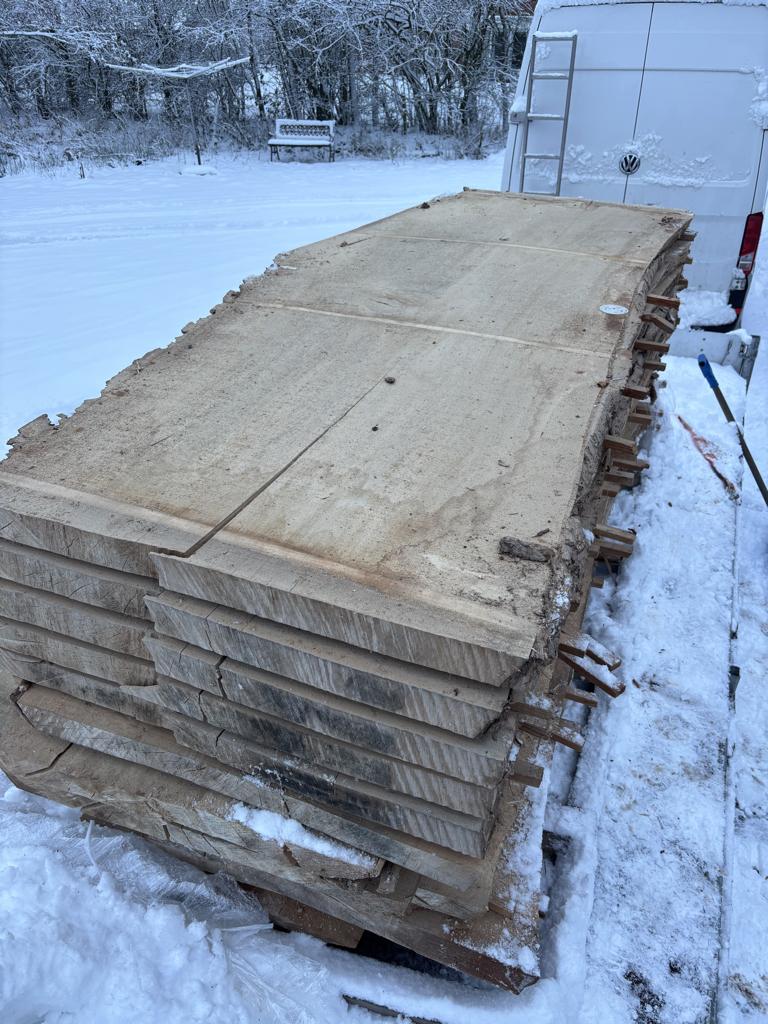 Populieren boomstambladen, Doe-het-zelf en Verbouw, Hout en Planken, Ophalen, Nieuw, 250 tot 300 cm, Plank