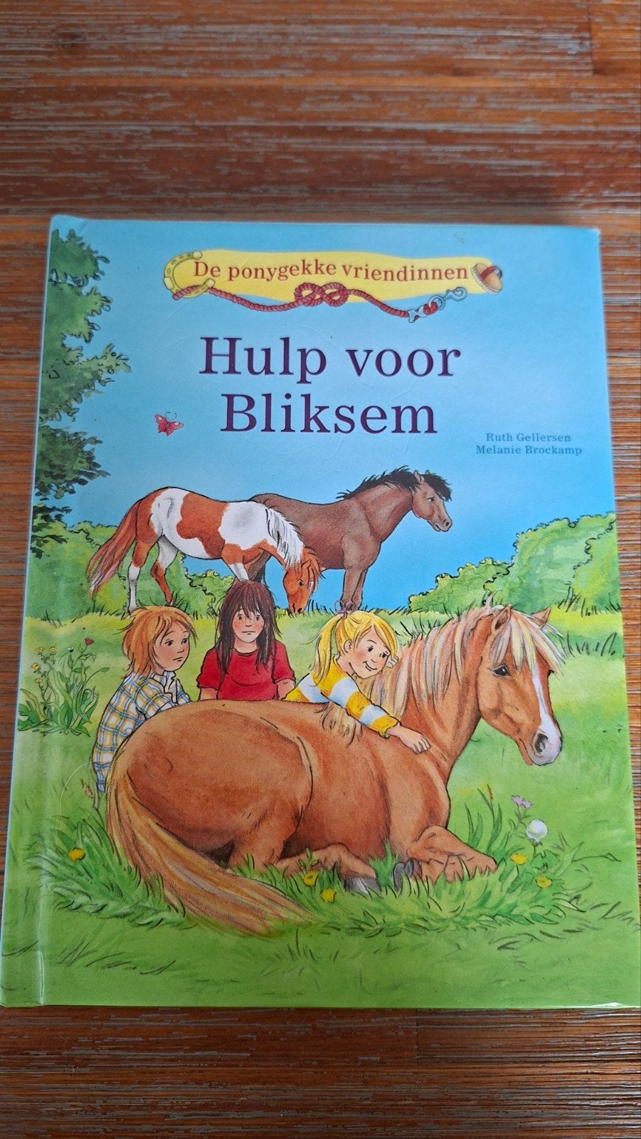 De ponygekke vriendinnen: Hulp voor Bliksem, Boeken, Ophalen of Verzenden, Zo goed als nieuw, Ruth Gellersen, Melanie Brockamp