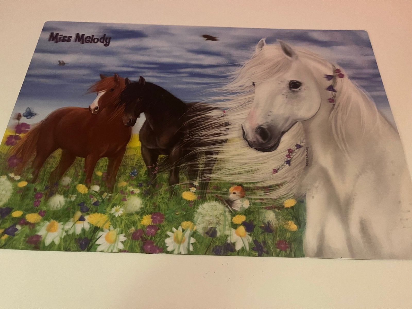 Miss Melody placemat met paarden voor je bureau, Verzenden, Zo goed als nieuw, Meisje