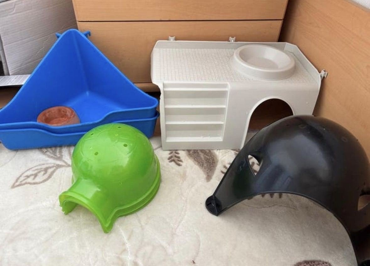 Kanaaldieren., Dieren en Toebehoren, Ophalen
