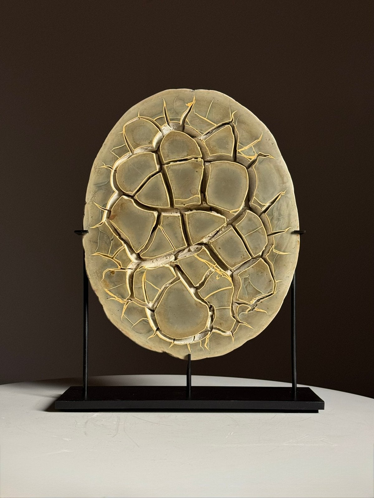 Septarian Nodule op custom standaard, Verzamelen, Ophalen of Verzenden, Fossiel