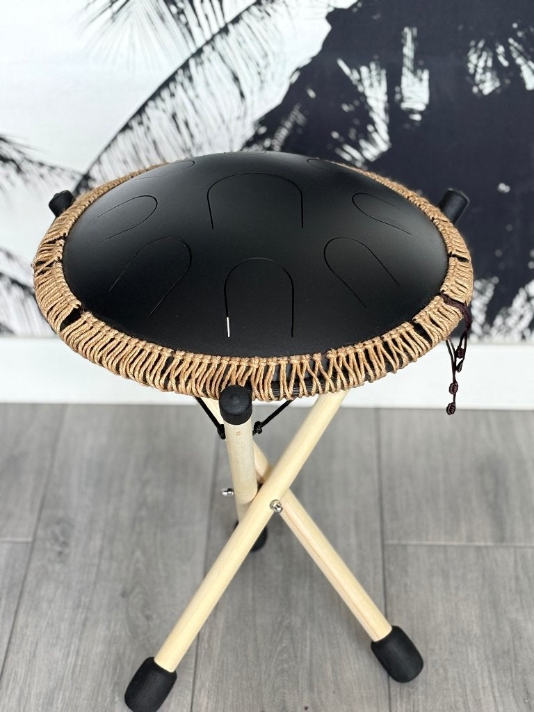 Echo Tongue Drum I D-Mineur, Muziek en Instrumenten, Ophalen, Zo goed als nieuw, Melodische percussie