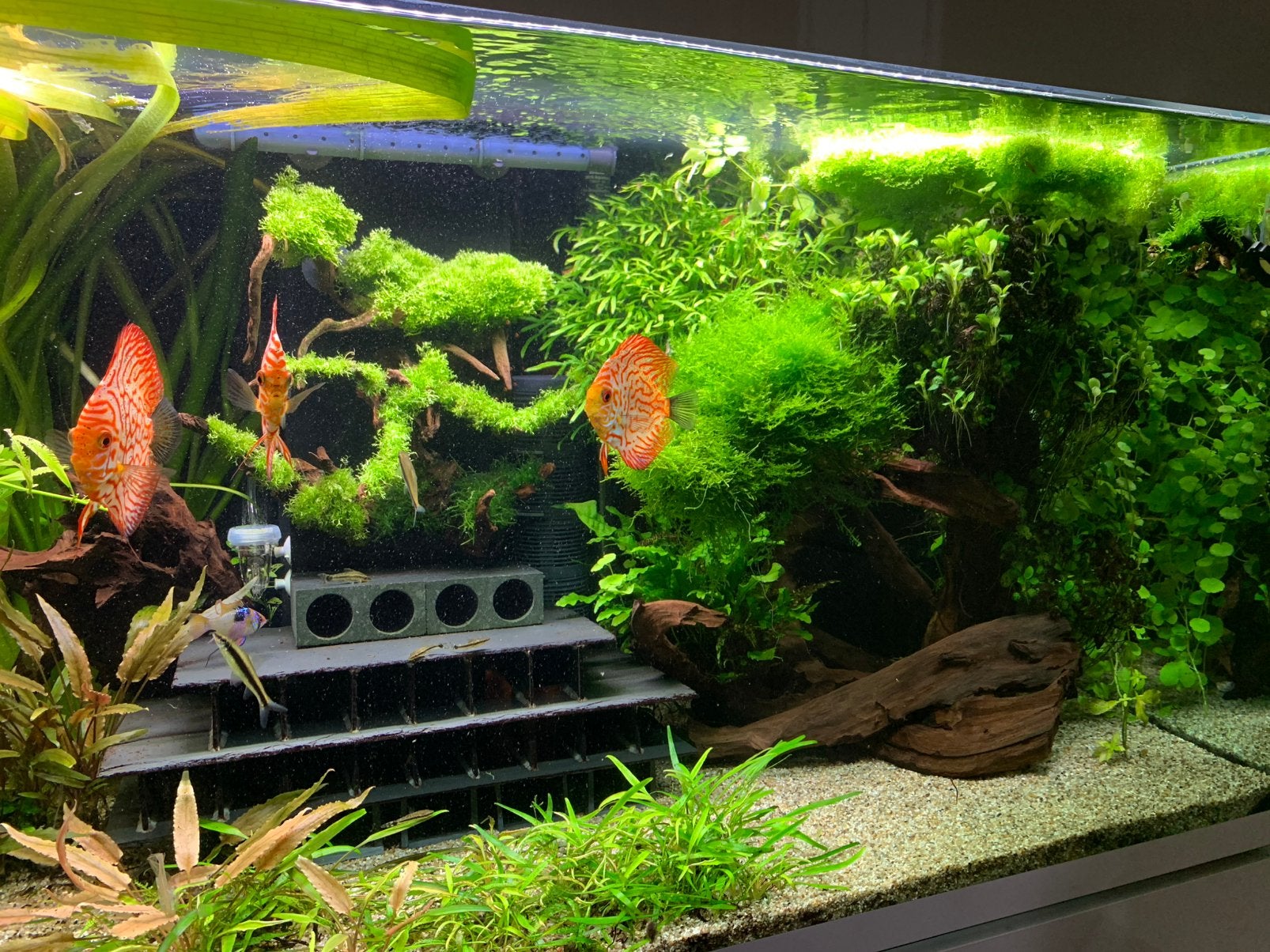 Eheim incpiria 400 liter aquarium geheel compleet, Ophalen, Zo goed als nieuw, Verlichting of Verwarming