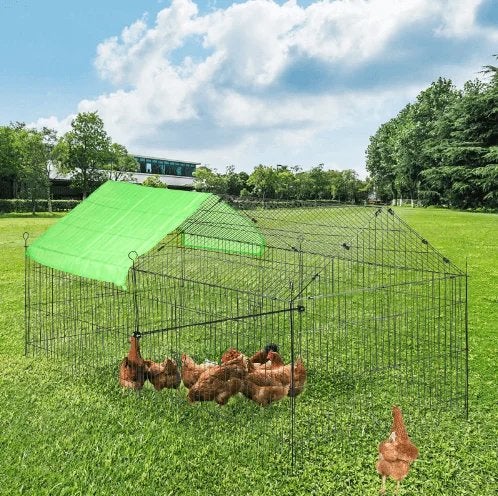 Boerderij of stuk grond te huur in Utrecht of omgeving, Dieren en Toebehoren
