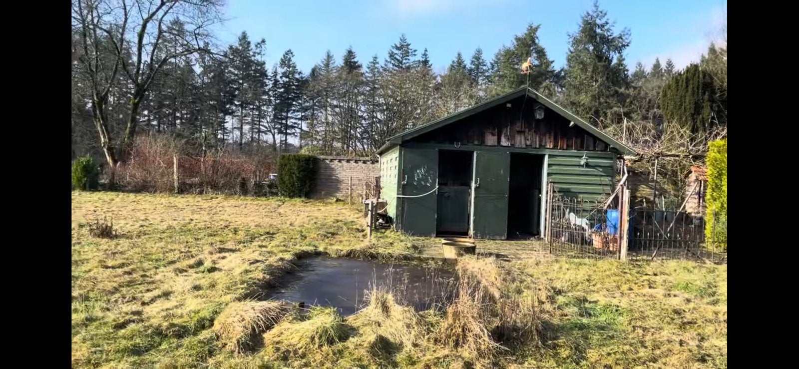 Gezocht: kindvriendelijke pony’s om te verzorgen in Wiesel, Ophalen
