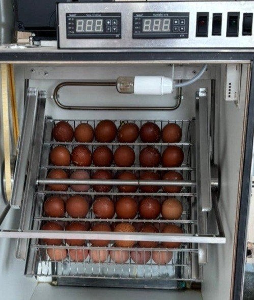 Gezocht broedmachine., Dieren en Toebehoren, Ophalen of Verzenden