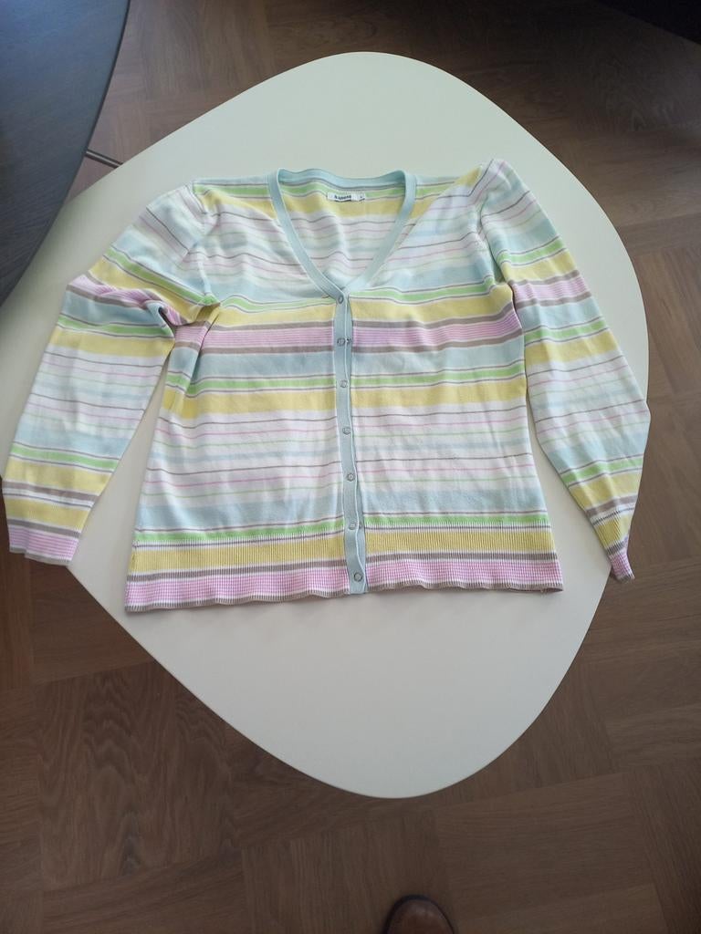 Vest Pastel kleurtjes B.Young maatL, Maat 38/40 (M), Overige kleuren, Ophalen of Verzenden, Zo goed als nieuw