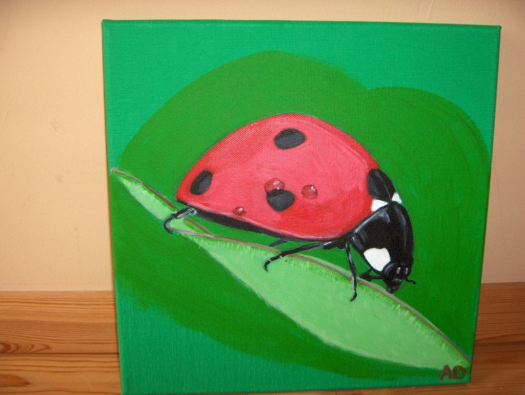 Lieveheersbeestje, Acrylverf, Ophangklaar, Ophalen of Verzenden, Dieren