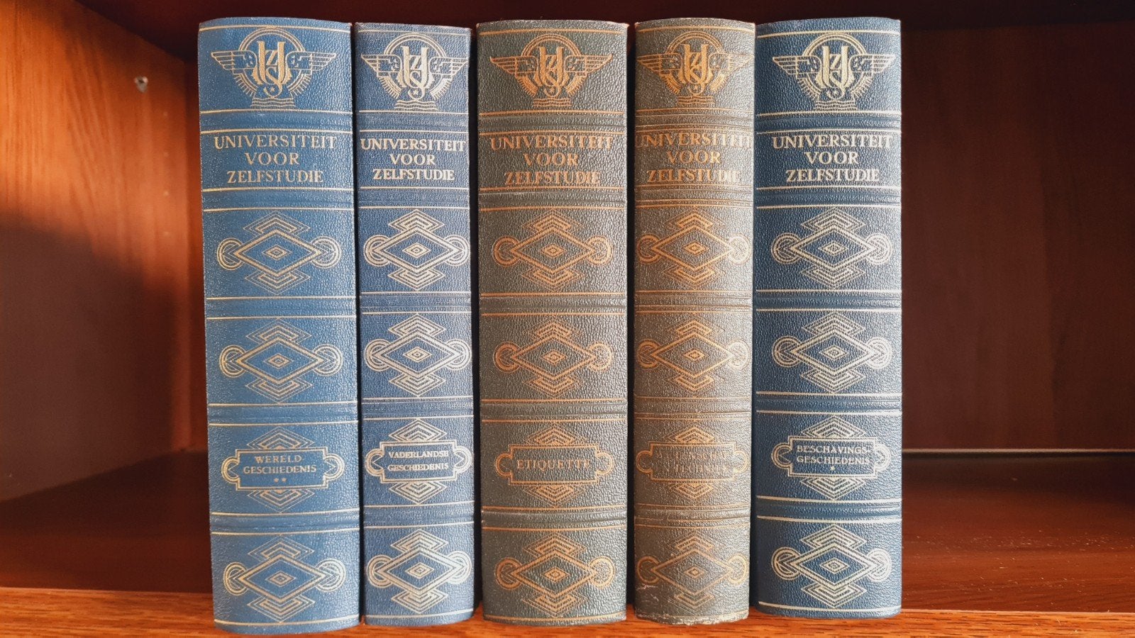5 boeken Universiteit voor zelfstudie, Ophalen of Verzenden, 20e eeuw of later, Gelezen