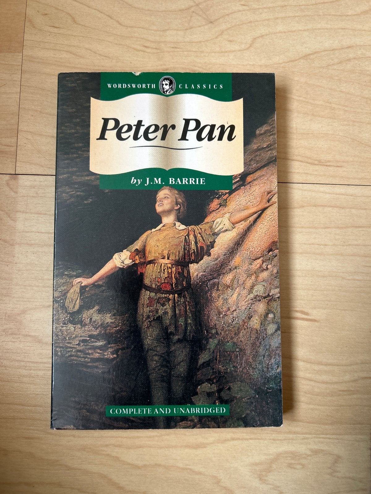 Peter Pan - J.M. Barrie (Wordsworth Classics), Ophalen of Verzenden, Gelezen, Fictie algemeen