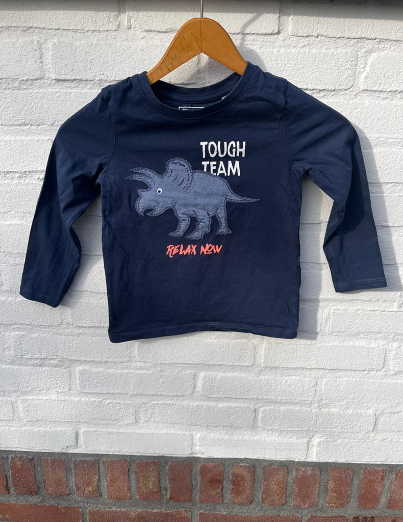 C&A Palomino longsleeve dinosaurus dino maat 110 lange mouw, Kinderen en Baby's, Kinderkleding | Maat 110, Ophalen of Verzenden