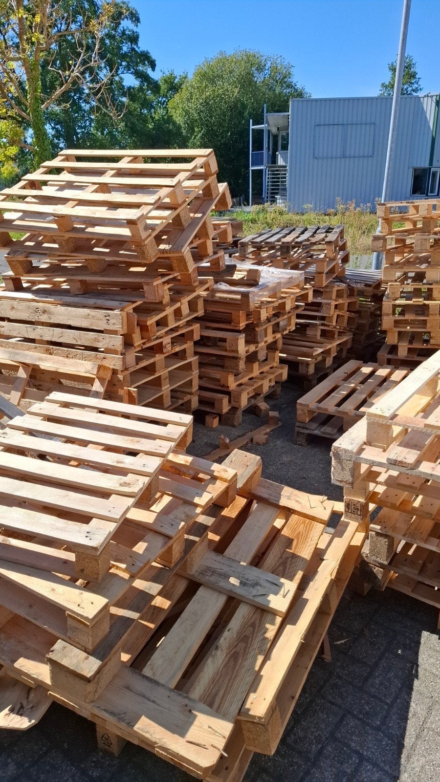 Gratis wegwerp pallets, 6 m³ of meer, Ophalen