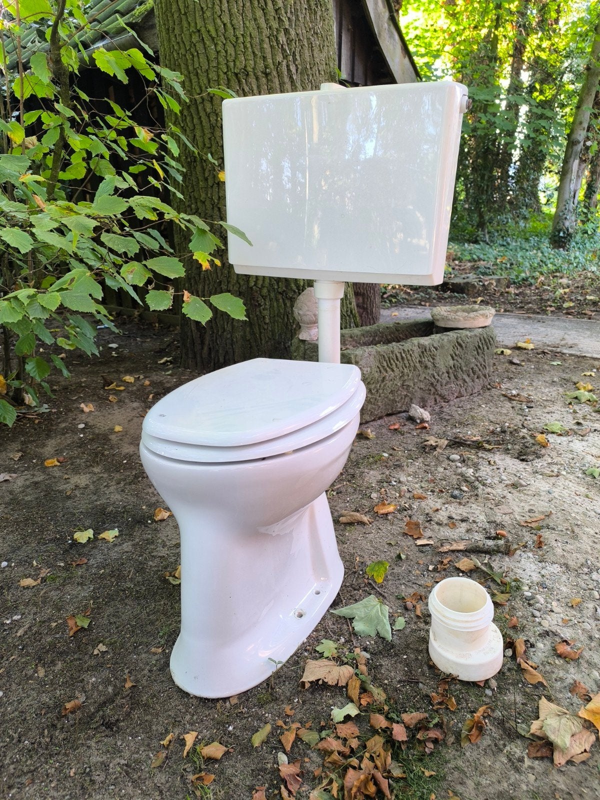 Gebruikt toilet met stortbak, Ophalen, Gebruikt, Toilet