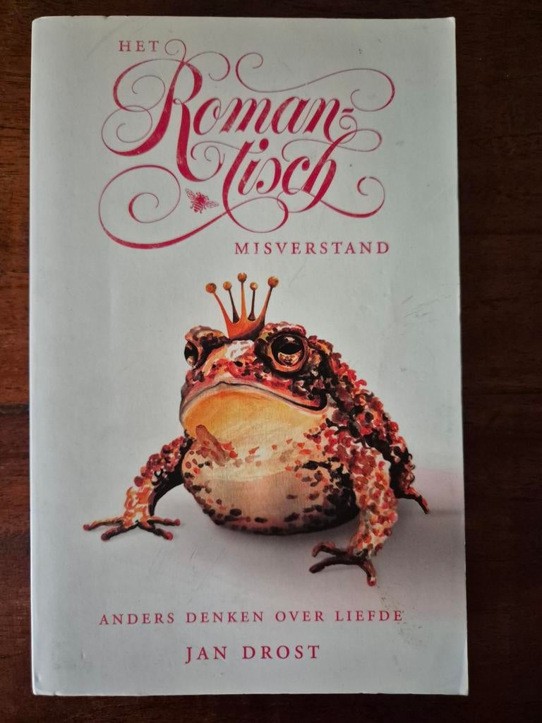 Jan Drost - Het romantisch misverstand, Ophalen of Verzenden, Zo goed als nieuw, Jan Drost