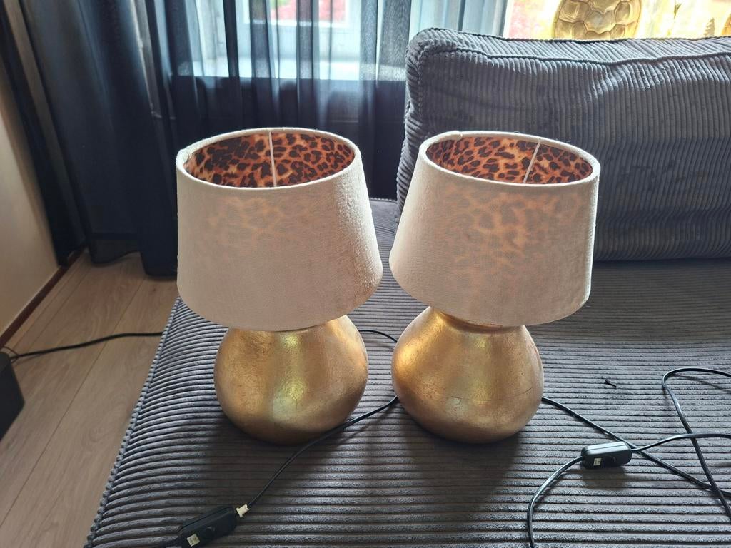 Mooie lampen, Huis en Inrichting, Ophalen of Verzenden, Zo goed als nieuw, Minder dan 50 cm