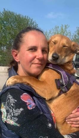 BAMBI 1 1/2jr. Klein/cats/dogs/prettig en aanhankelijk, Dieren en Toebehoren, Honden | Niet-rashonden, Nederland, Handelaar, 1 tot 2 jaar