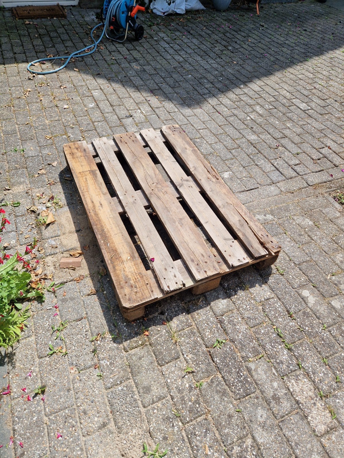 Pellet gratis af te halen, Ophalen, Minder dan 25 mm, Plank, Minder dan 200 cm