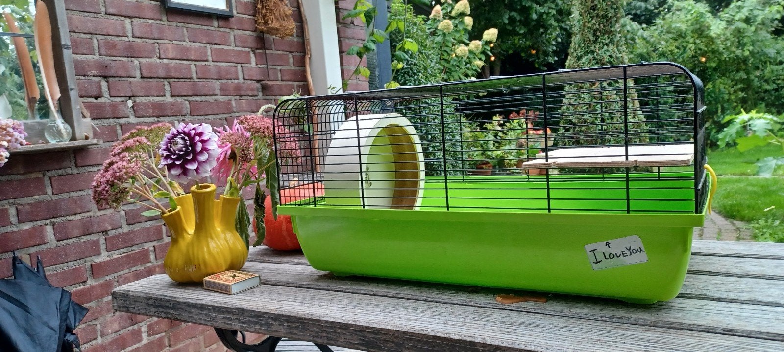 Hamsterkooi..., Dieren en Toebehoren, Ophalen