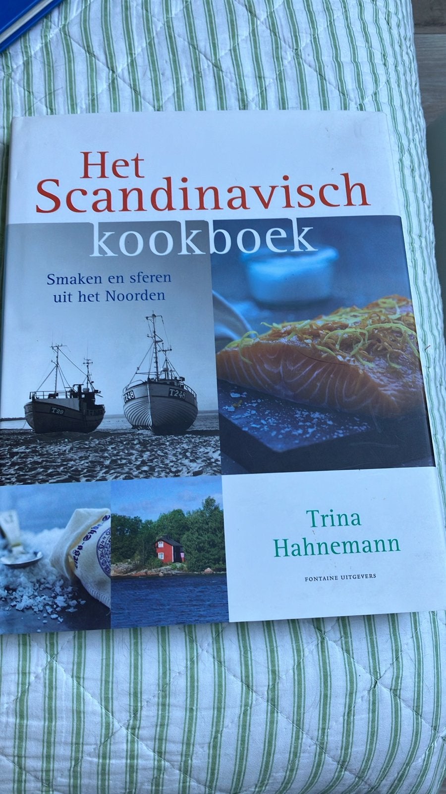 Het Scandinavisch kookboek - Smaken en sferen uit het Noorde, Boeken, Voorgerechten en Soepen, Ophalen of Verzenden, Zo goed als nieuw