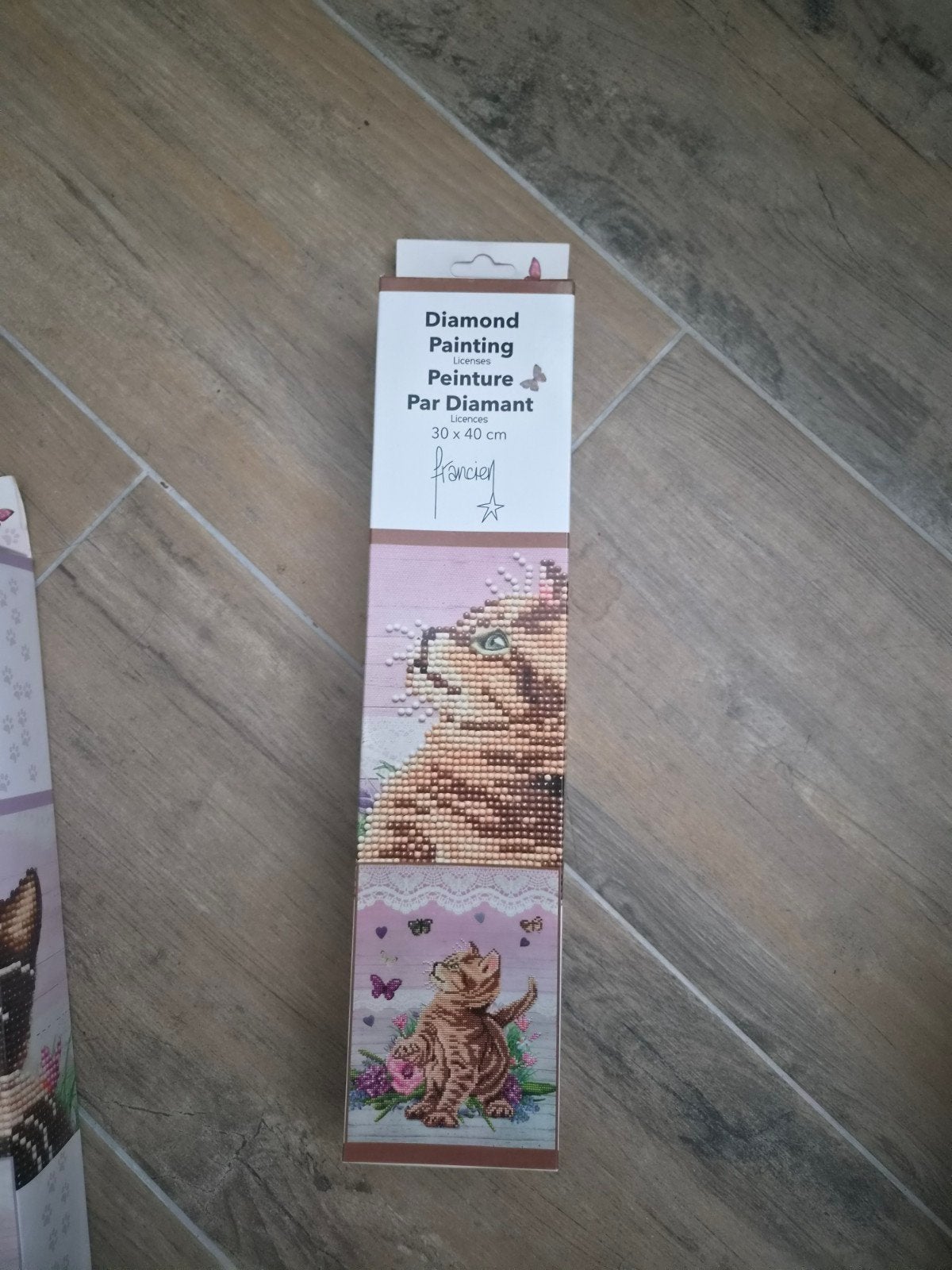 Francien katten diamond painting 30  40 cm, Nieuw, Meerkleurig, Ophalen of Verzenden, Diamond painting