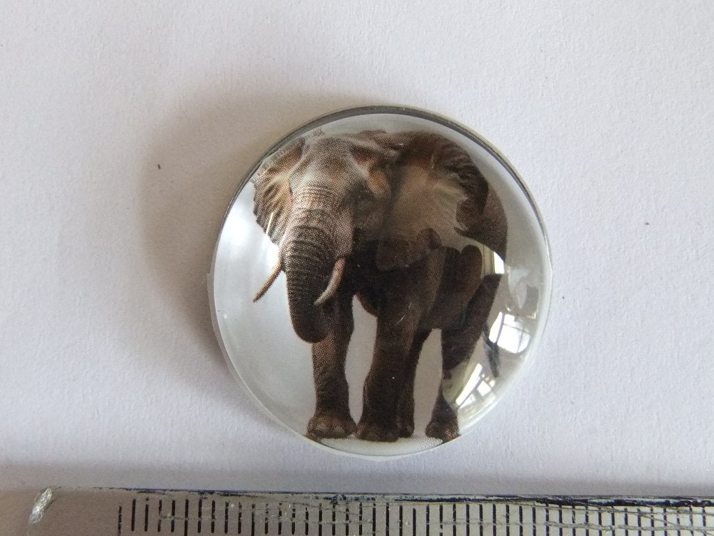 Mooie speld met olifant, Verzamelen, Verzenden, Nieuw, Dier of Natuur, Speldje of Pin