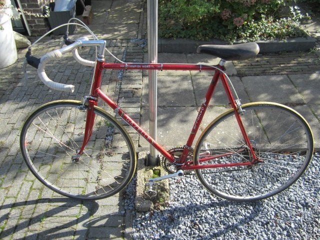 Gazelle champion mondial, Gebruikt, Aluminium, Meer dan 20 versnellingen, Ophalen