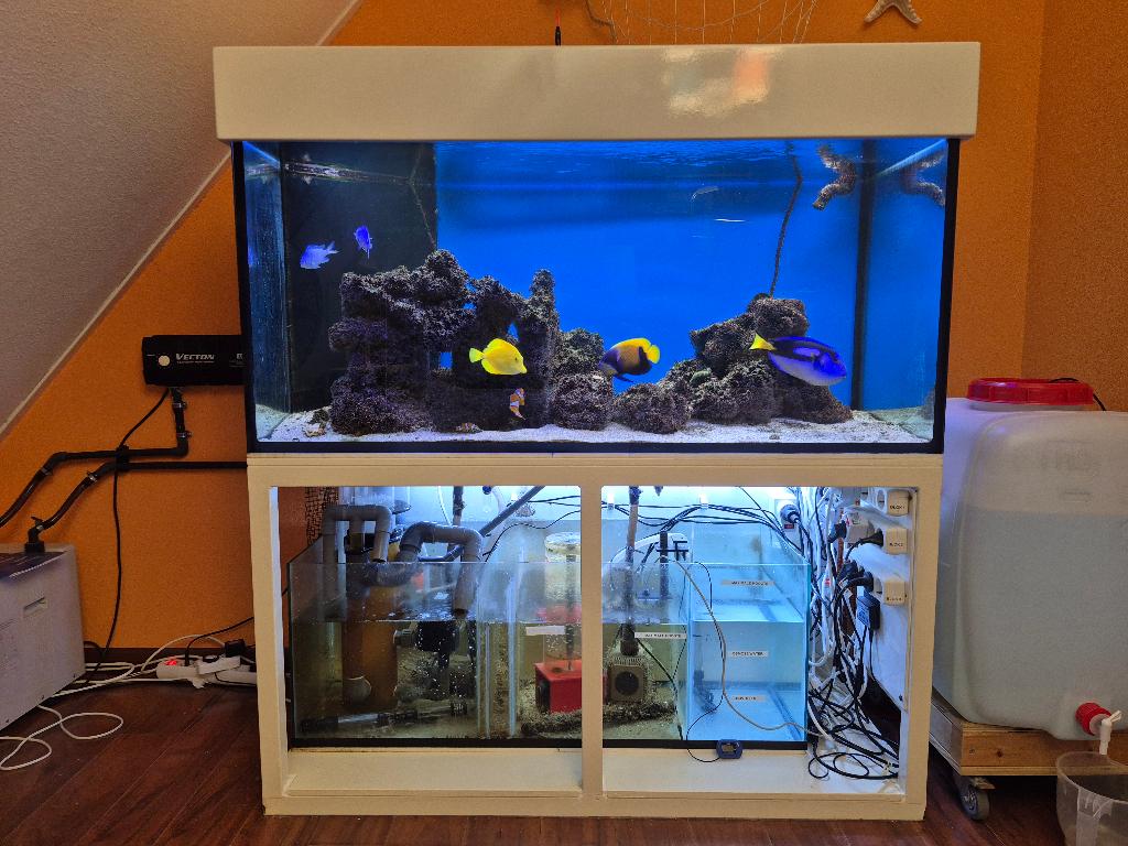 Compleet zeewateraquarium met sump, zonder vissen, Ophalen, Inclusief deksel, Gebruikt, Leeg aquarium