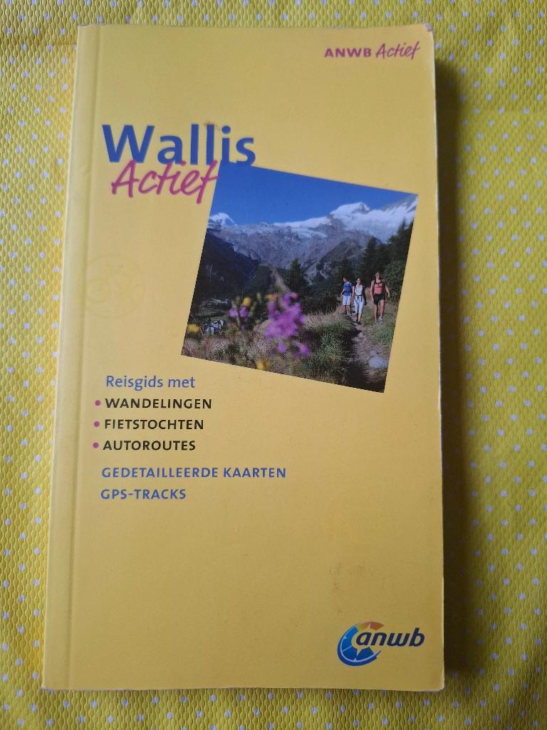 ANWB actief reisgids - Wallis, Fiets- of Wandelgids, Europa, Ophalen of Verzenden, Zo goed als nieuw