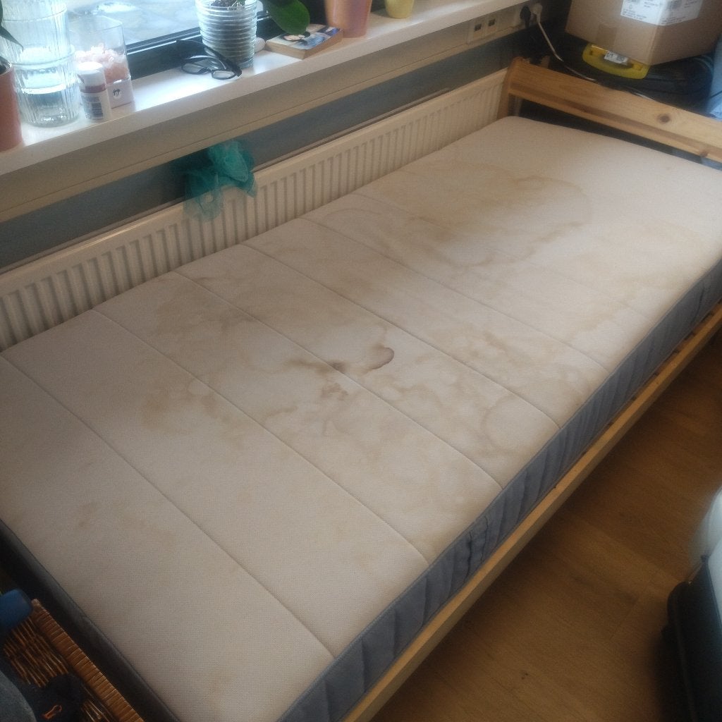 Hotel Carpet & Furniture Cleaning, Diensten en Vakmensen, Schoonmakers en Glazenwassers, Schoonmaken bedrijfsruimte