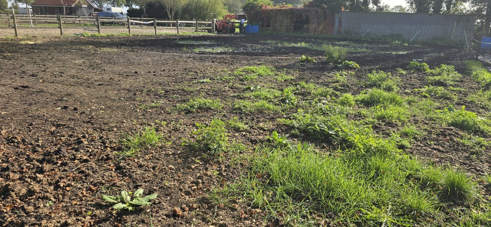 GEZOCHT hulp omploegen graafmachine, Ophalen, Overige soorten, Volle zon