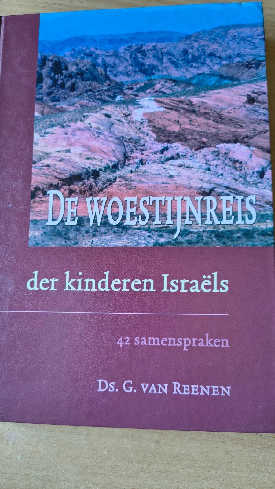 G. van Reenen - De woestijnreis der kinderen Israels, Boeken, Ophalen of Verzenden, Zo goed als nieuw, G. van Reenen