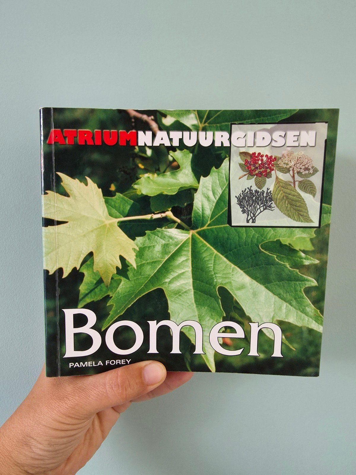 Atrium Natuurgidsen BOMEN, Boeken, Natuur, Ophalen of Verzenden, Zo goed als nieuw, Bloemen, Planten en Bomen, Pamela Forey