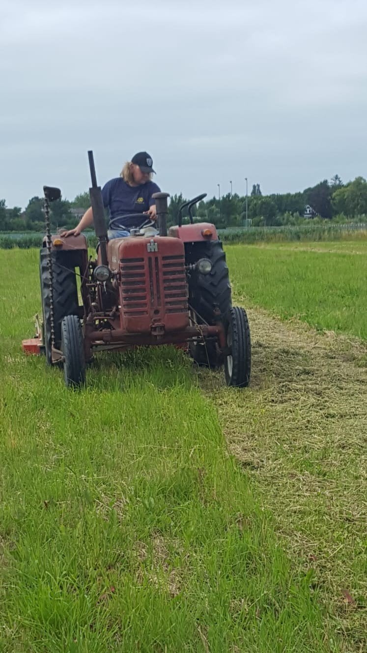 International D-439 in onderdelen met veel nieuwe onderdelen, Ophalen, Oldtimer, Case IH