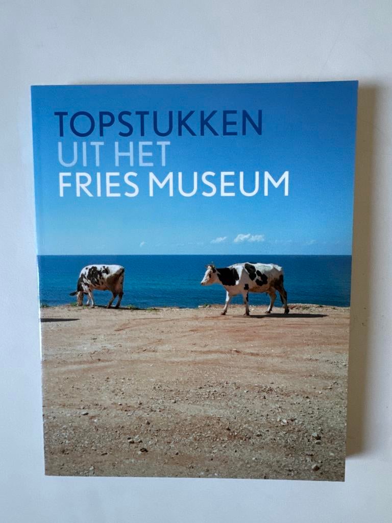 Topstukken uit het Fries Museum - Kunstboek, Ophalen of Verzenden, Zo goed als nieuw