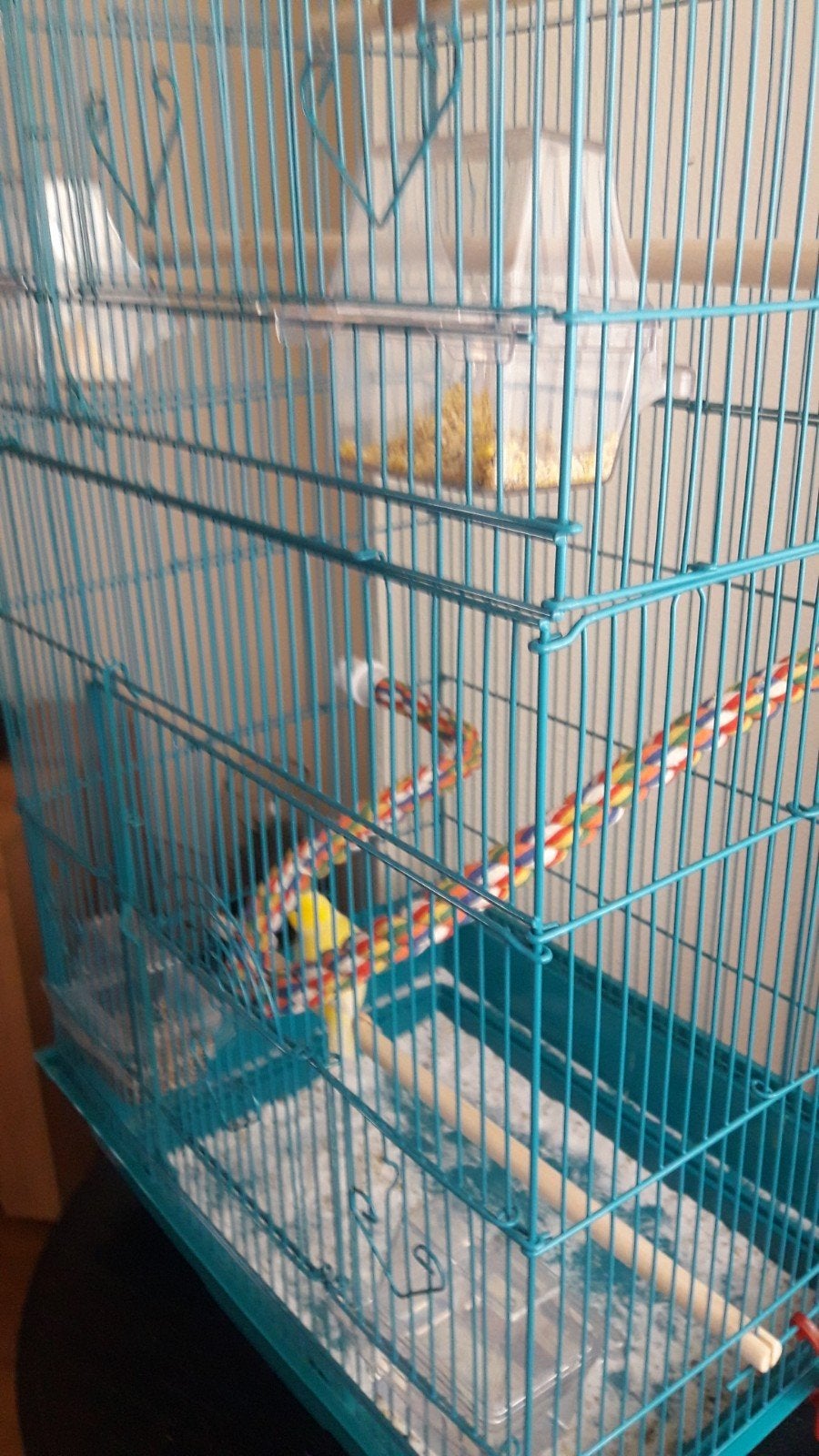 kanari, Dieren en Toebehoren, Ophalen, Metaal, Vogelkooi