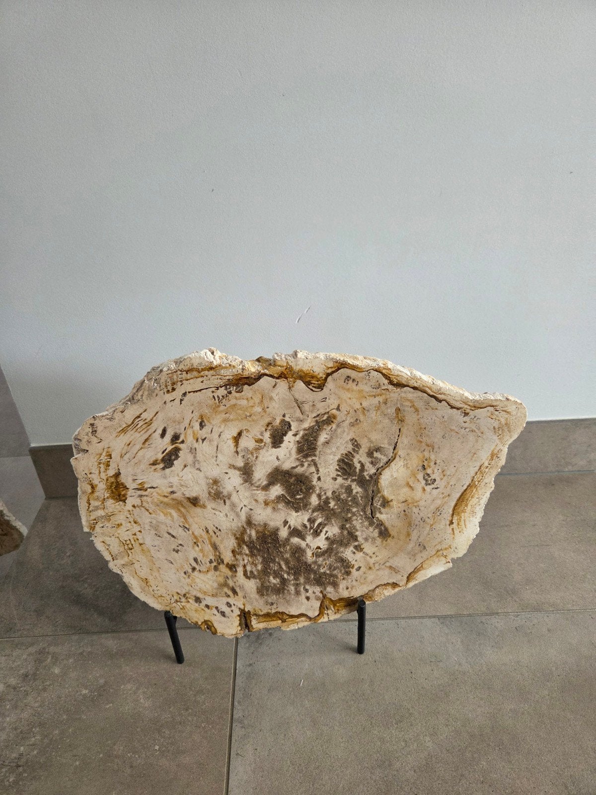 Prachtige plak versteend hout op een standaard. 43 cm x 34, Ophalen of Verzenden