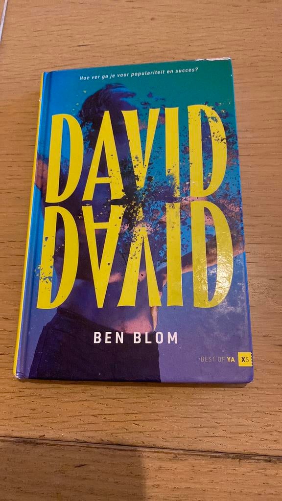 Ben Blom - David, David, Boeken, Ophalen of Verzenden, Zo goed als nieuw, Ben Blom