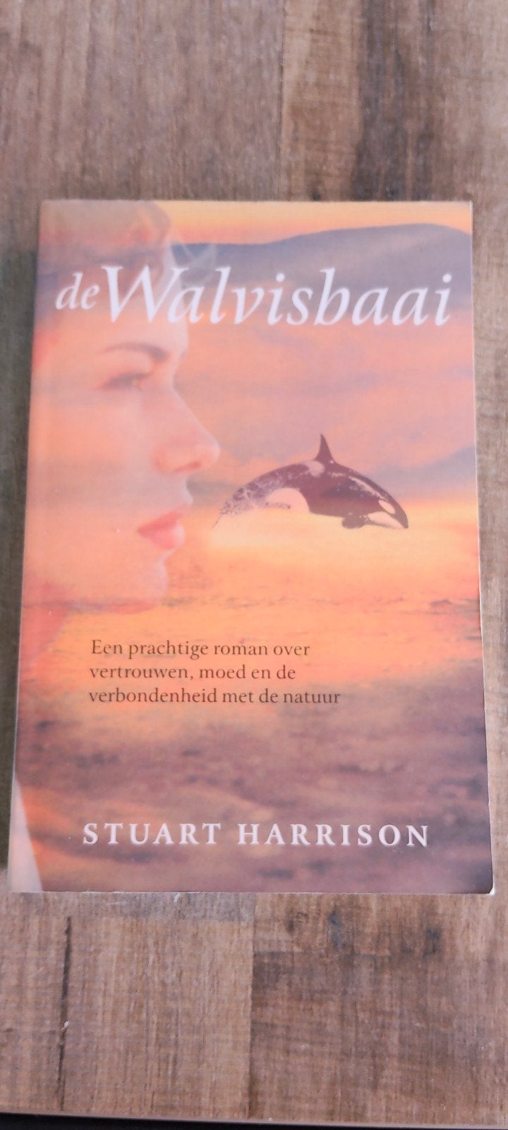 Stuart Harrison - De walvisbaai, Ophalen of Verzenden, Zo goed als nieuw, Stuart Harrison